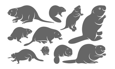 Set of Beaver logo vector, Creative Beaver logo design concepts template, icon symbol, illustration