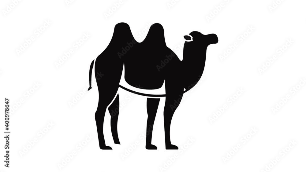 Poster camel icon animation of best object isolated on white background for any design