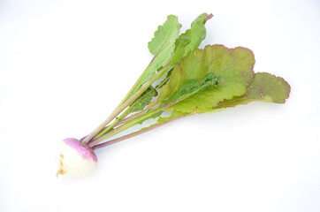 the white pink turnip with green leaves isolated on white background.