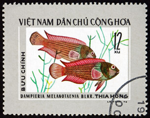 Postage stamp Vietnam 1976 fire-tailed dottyback, fish