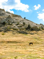 Ancient castle in the Crimea on the rocks by the sea. Medieval building. Fairy knight's castle