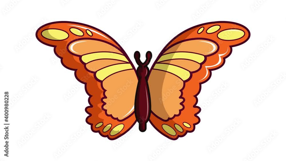 Poster butterfly collection icon animation. motion set of best icons and then each objects is shown separat
