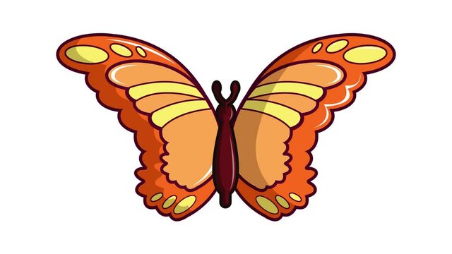Butterfly collection icon animation. Motion set of best icons and then each objects is shown separately