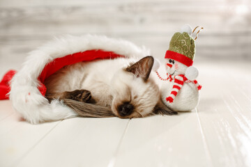 Kitten sleeps on floor wearing a Christmas hat. Baby cat slept through the new year. Cozy pet and snowman celebrates christmas