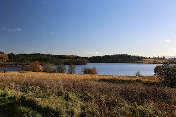 Fototapeta premium Scottish landscape with fall colors