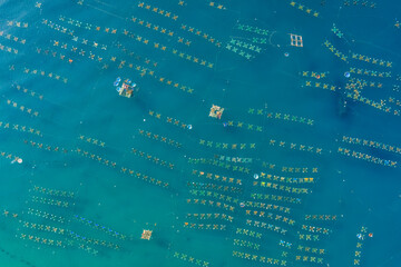 Aerial view of  shrimp ( prawn ) farm and lobster in front of Yen island, Phu Yen, Vietnam.