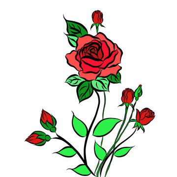 Colorful rose bouquet flowers and green leaves growth on white background,creative with illustration in flat design.Floral pattern,decorative series for wallpaper.Valentine day concept.