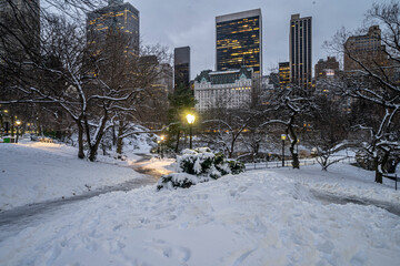 Central Park in winter