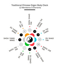Traditional Chinese organs body clock. Chinese and main meridians  - 24 hours. Yin yang indicator : black for yin & white for yang. Colors symbolize elements : fire, water, metal, wood, earth