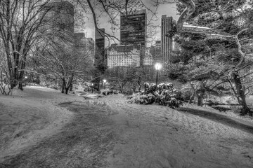 Central Park in winter