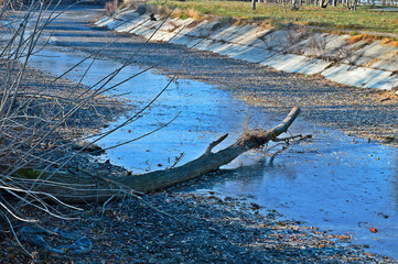 A fallen dead tree lies in a nearly dry canal in a small town on an early autumn afternoon.