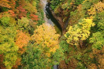Beautiful red and yellow maple leaf at Oyasukyo gorge in Japan, aerial view - 紅葉したもみじ 小安峡 温泉 秋田県湯沢市	