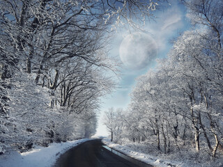 Wintery scene depicting snow covered trees lining a  wet road with blue sky and full moon