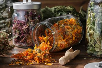 Glass jar of dry calendula flowers for making herbal tea, jars of various healthy herbs -...