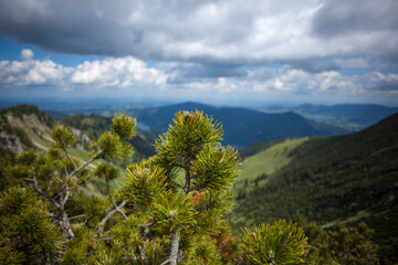 Mountain panorama view of Brecherspitze, Bavaria