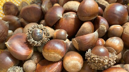 acorns and chestnuts 