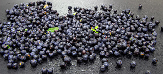 Ripe and tasty blueberries with green leaves on dark background. Bilberries close-up. Copy space for your text. Healthy food