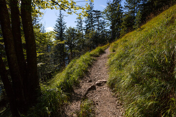 Herzogstand mountain trail, Bavaria, Germany
