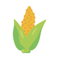 corn cob fresh vegetable nature icon