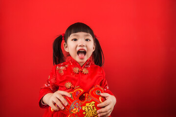 A Chinese girl greeted the Spring Festival with a lantern，Chinese translation：Lucky fortune，wealth