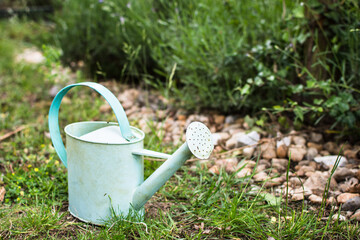 
Old tin watering can in the garden