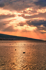 Beach sunrise and orange sea in the warm summer sun. Sandy coast and calm. High quality photo