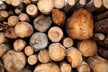 Closeup of stacked firewood