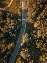 the drone captures a forest road and a car that drives along it in the early morning