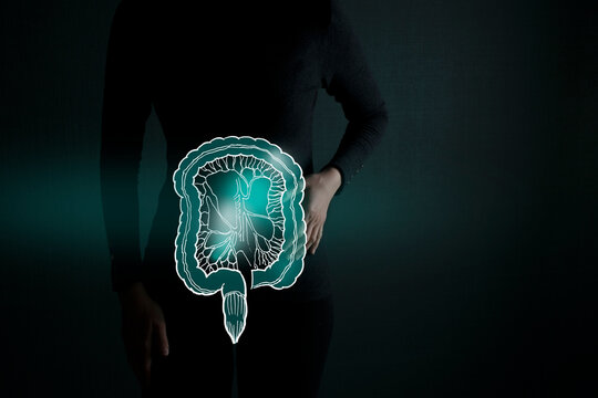 Highlighted intestine organ low key illustration. Woman body on dark green background. Immune system detox, probiotic and enzymes concept. 