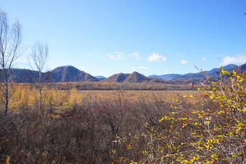 Senjogahara Marshland in Nikko, Tochigi prefecture, Japan - 戦場ヶ原 栃木県 日光市