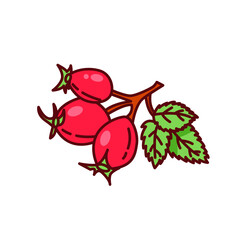 Vector drawing of wild rose. Clip art. Sticker. Suitable for printing on paper, fabric.