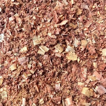 sawdust