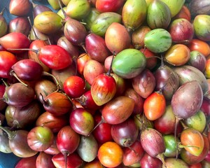 tamarillo fruit