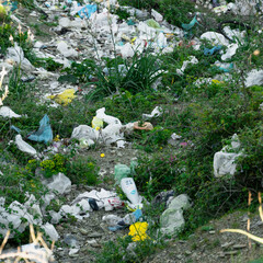 Trash thrown away in nature, environmental problems. Nature disaster concept