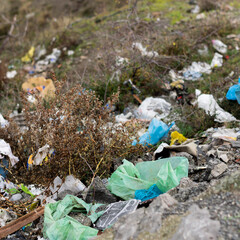 Fototapeta na wymiar Trash thrown away in nature, environmental problems. Nature disaster concept