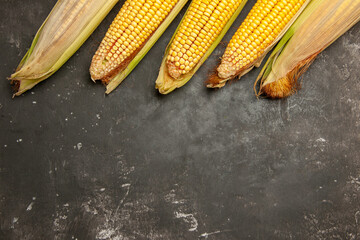 top view fresh yellow corns on a dark background raw color photo plant
