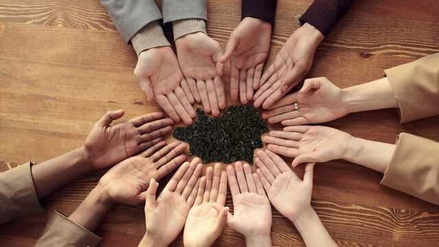 Concept of cooperation, apple seedling growing in a circle of hands 