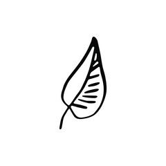 Single hand drawn leaf. Doodle isolated on white background. Vector illustration.