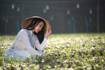 Vietnamese beautiful woman in national costume is growing vegetables in the farm.