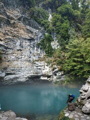 
beautiful bird on the lake in the mountains