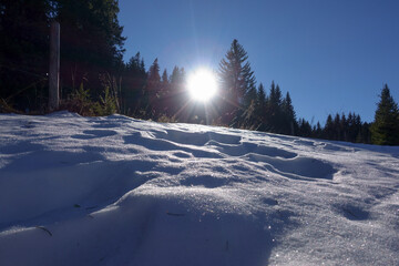 Fototapeta na wymiar shining sun and glitterling snow in the winter
