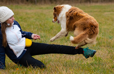 young australian shepherd dog and a girl - dog training with ball