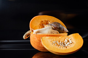 Beautiful giant snail Achatina fulica crawling on ripe orange pumpkin on black background