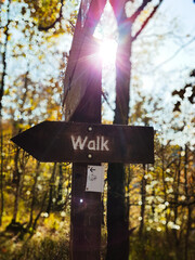 Direction sign for walking in nature
