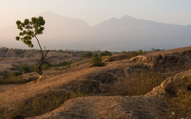 landscape in the morning