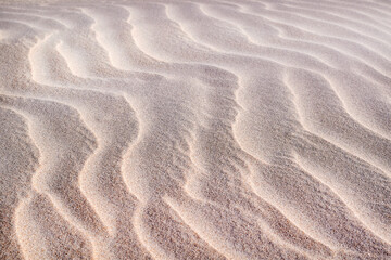 Fine sand texture for background or cover image.