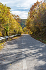 Street view of the forest during fall near Rogovou church, Zagori, Greece.