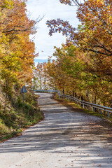 Fototapeta na wymiar Street view of the forest during fall near Rogovou church, Zagori, Greece.