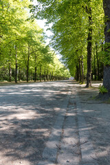 Allee in Düsseldorf