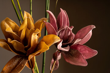 Fototapeta na wymiar Farbige Blüten im Bambusgesteck vor dunklem Hintergrund